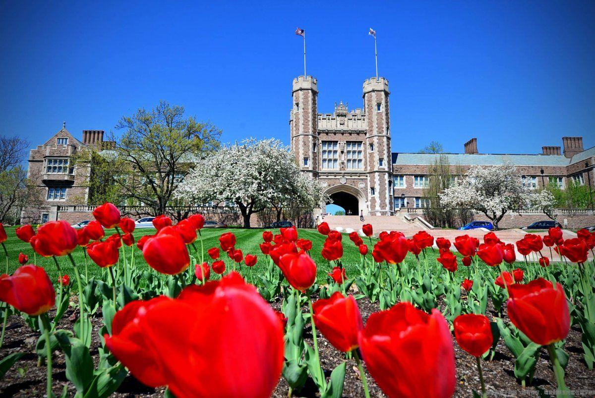 圣路易斯華盛頓大學世界排名.jpg