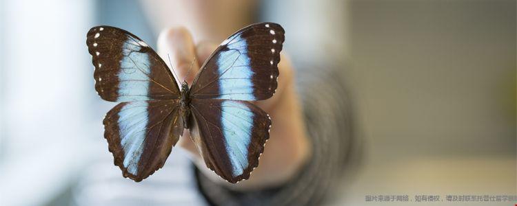 美國留學(xué)生物專業(yè)如何規(guī)劃課外活動.jpg 美國留學(xué)生物專業(yè)如何規(guī)劃課外活動.jpg