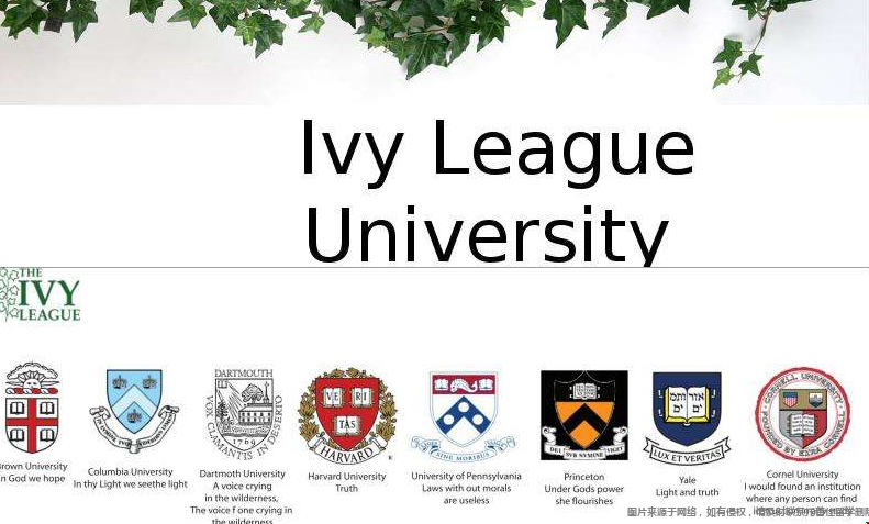 美國藤校哪些項目好申請