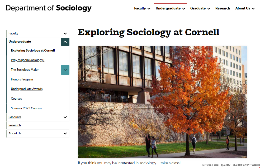康奈爾大學本科社會學.png