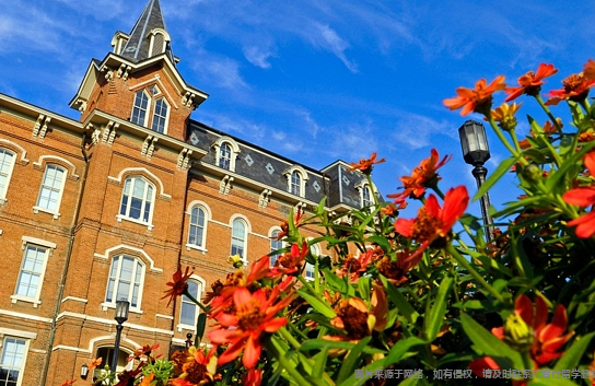 陸本轉學美本最佳時機