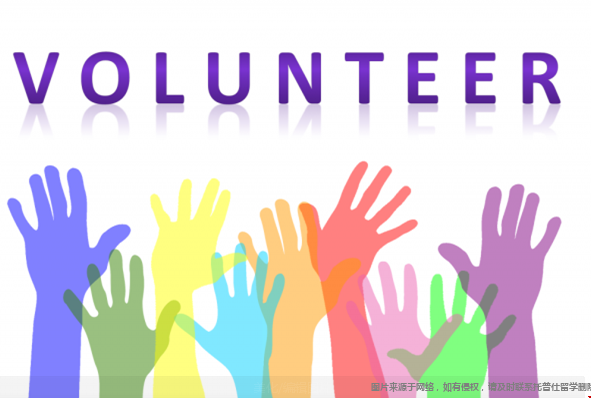 美本申請(qǐng)選擇志愿者工作.png