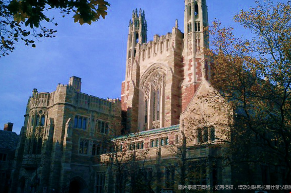 耶魯大學(xué)專業(yè)排名.png