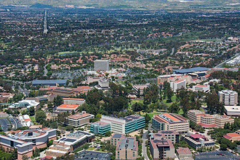 紐約有哪些著名大學