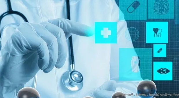 美國生物醫(yī)學(xué)工程專業(yè)分支