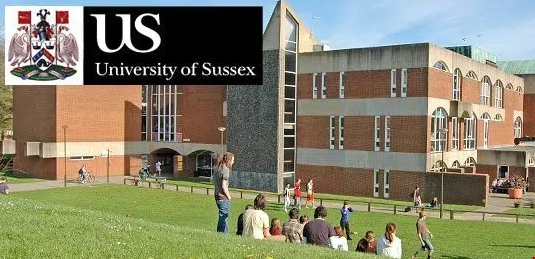 蘇塞克斯大學.png