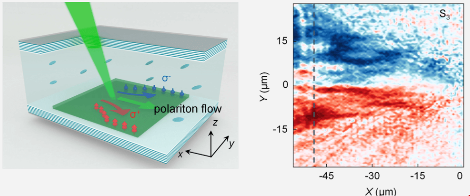 極化子的自旋過(guò)濾器.png 極化子的自旋過(guò)濾器.png