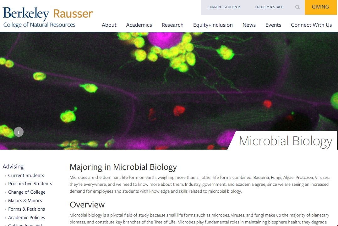 加州大學伯克利本科有微生物專業嗎?.png 加州大學伯克利本科有微生物專業嗎?.png