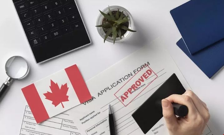 加拿大留學簽證背景調查.png 加拿大留學簽證背景調查.png